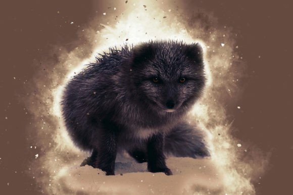 Download Printable Animal Graphics #13 - Printable Collection