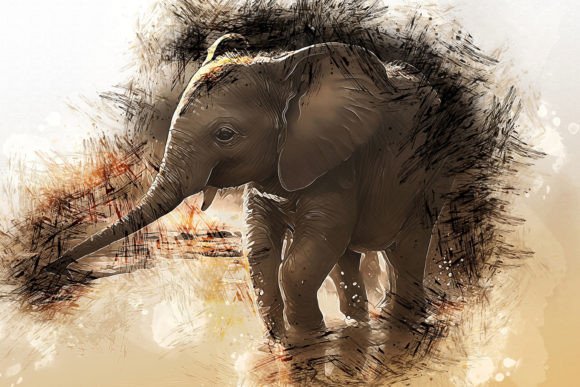 Download Printable Animal Graphics #23 - Printable Collection