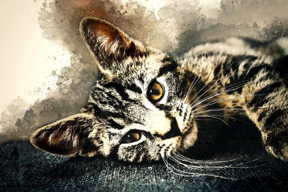 Download Printable Animal Graphics #08 - Printable Collection