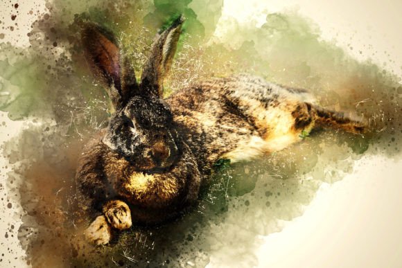 Download Printable Animal Graphics #12 - Printable Collection